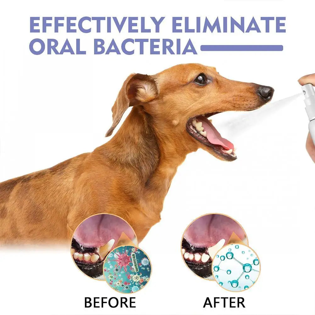 30ml Freshen Breath Remove for Pet Dental Spray for Dogs Cats Plaque Tartar Oral Care Water Additive Easy Use No Brush Needed