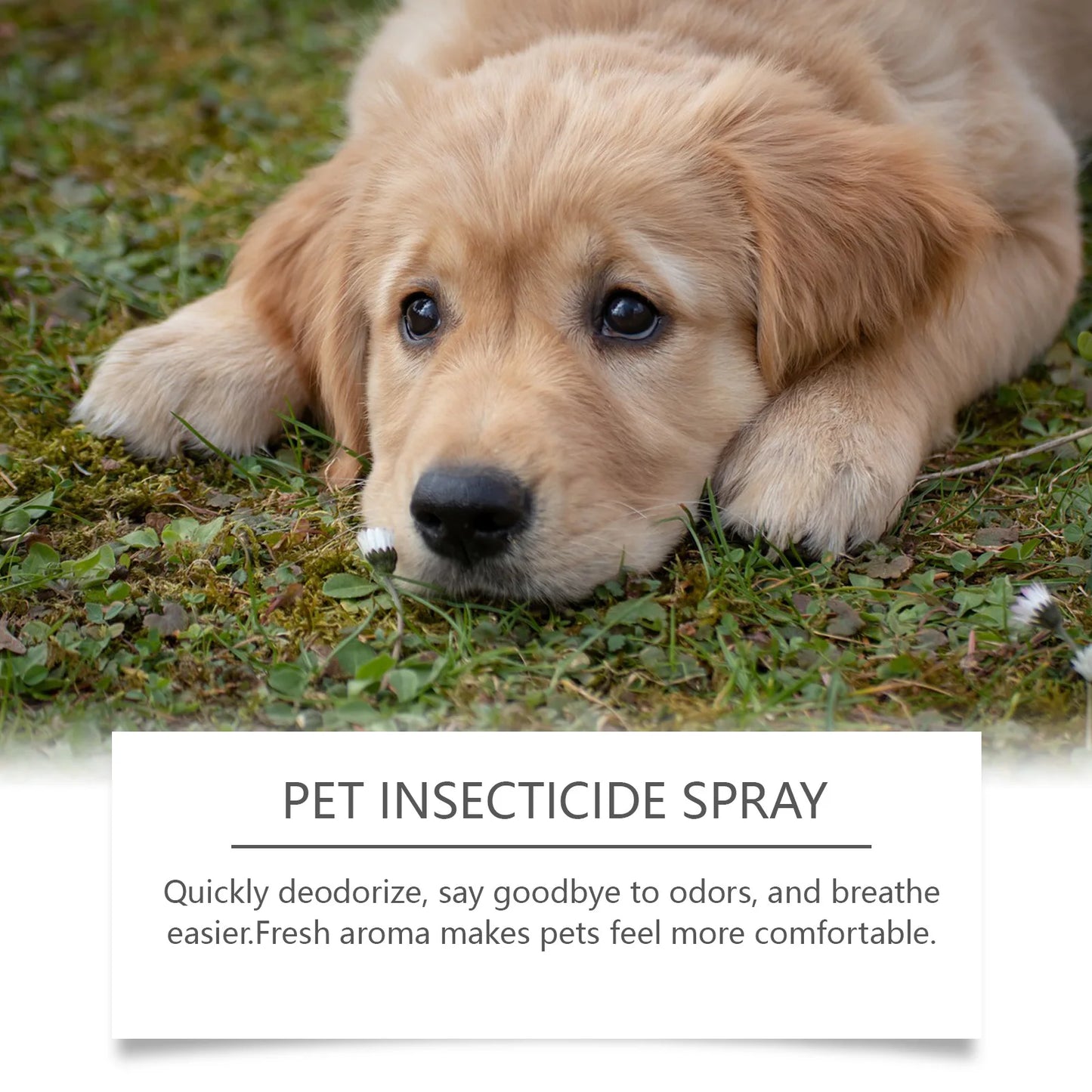 Pet Deworming & Deodorizing Spray: Liquid Spray for Flea Control, Body Deodorization and Deworming