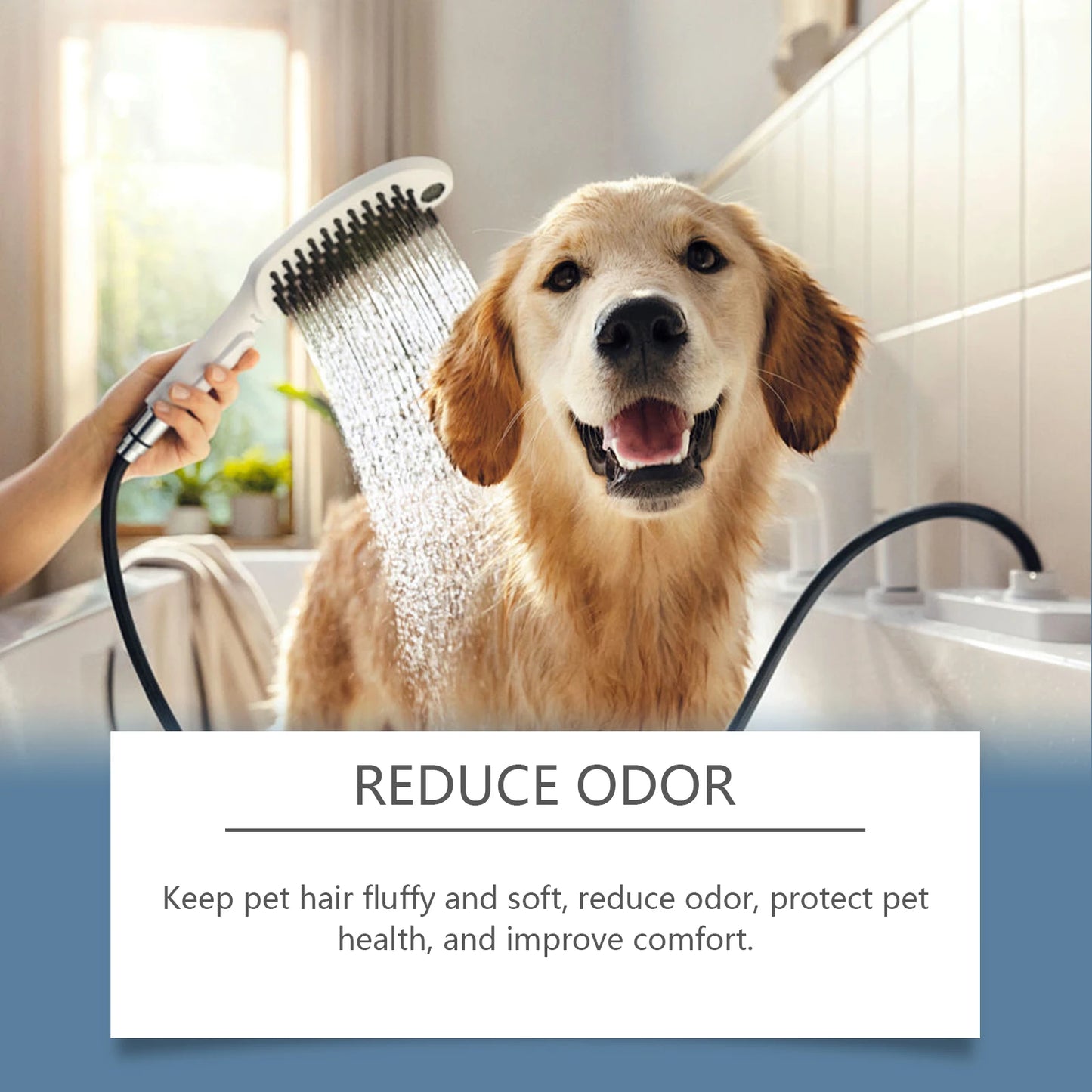 Pet shampoo for cats and dogs, cleansing, bathing, moisturizing, nourishing, shower gel, gentle shampoo