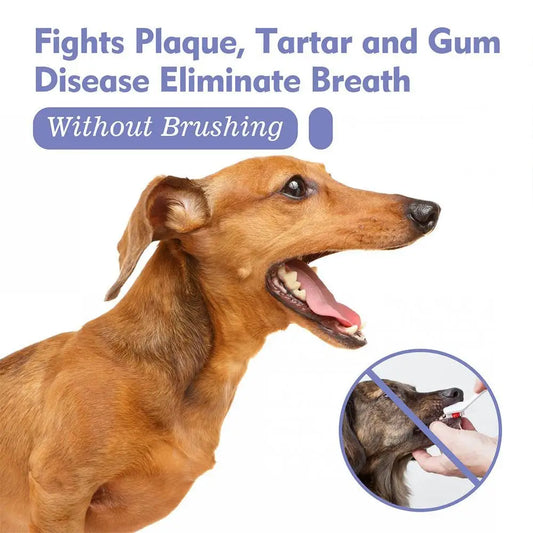 30ml Freshen Breath Remove for Pet Dental Spray for Dogs Cats Plaque Tartar Oral Care Water Additive Easy Use No Brush Needed
