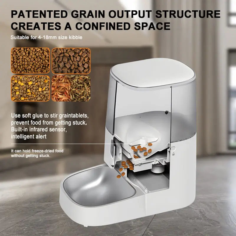 Hot Selling Intelligent 5L Smart Electric Pet Automatic Food Feeder Plastic Bottle with Double Stainless Steel Bowls Dog's Feed