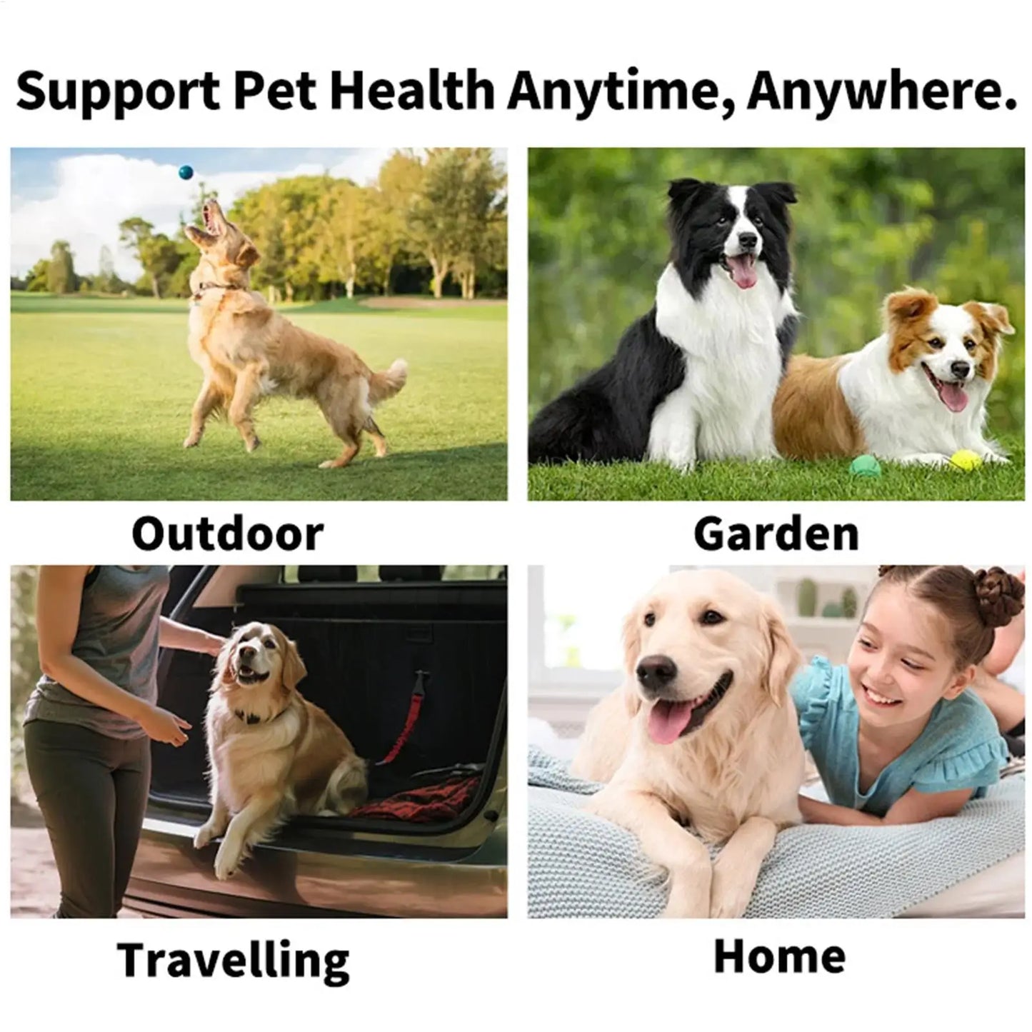50pcs Pet Teeth Cleaning Wipes Dental Finger Wipes Disposable Gentle Teeth Cleaning Pads Bad Breath Remover for Dogs Cats