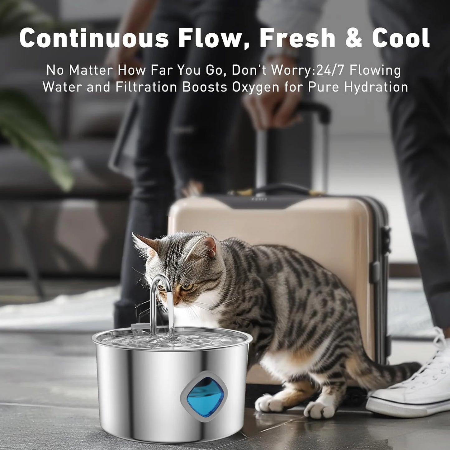 3.2L water fountain for a cat 304 Stainless Steel Automatic Fountains with USB Visible Window for Cats Dog Multiple Pet Supplies