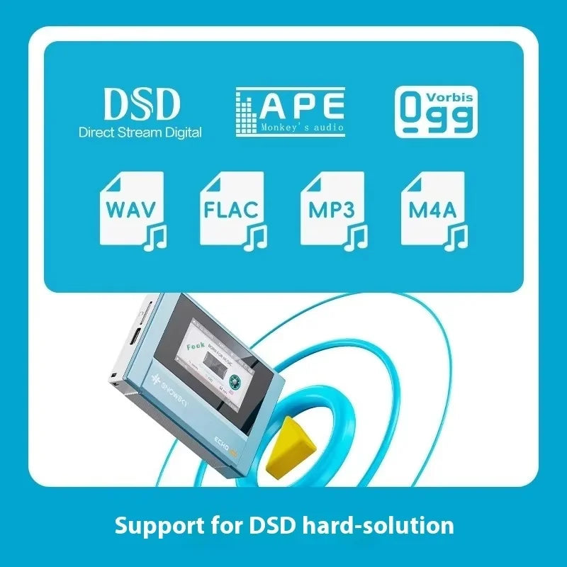 FIIO SnowSky ECHO MINI Wireless Bluetooth MP3 Player Portable Audio LCD Custom Mini Music Player for Music Lovers Gift Idea